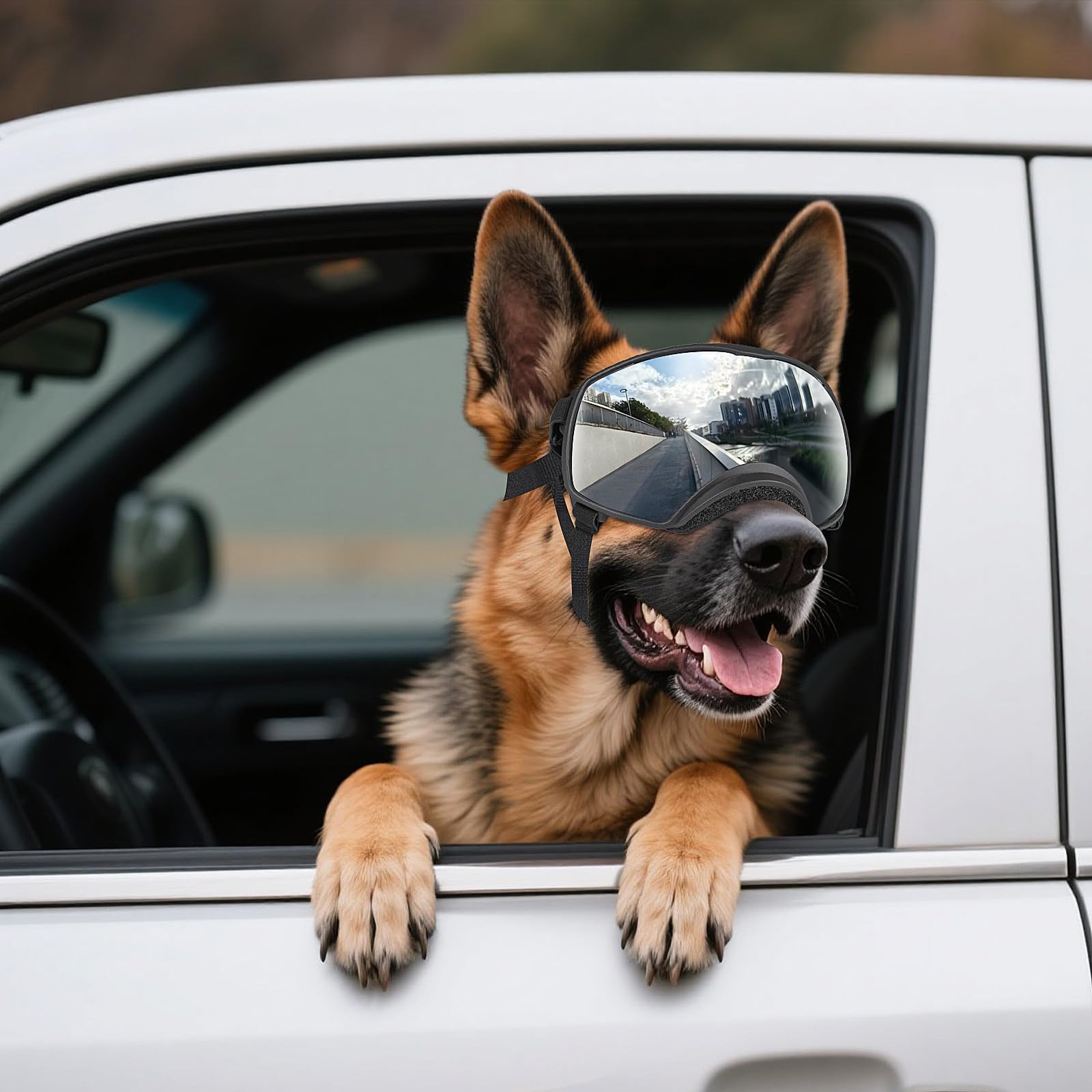 NAMSAN dog goggles with soft frame for comfortable wear on outdoor activities