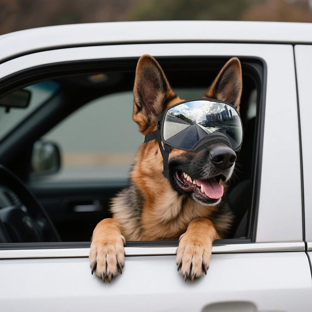 NAMSAN dog goggles with soft frame for comfortable wear on outdoor activities