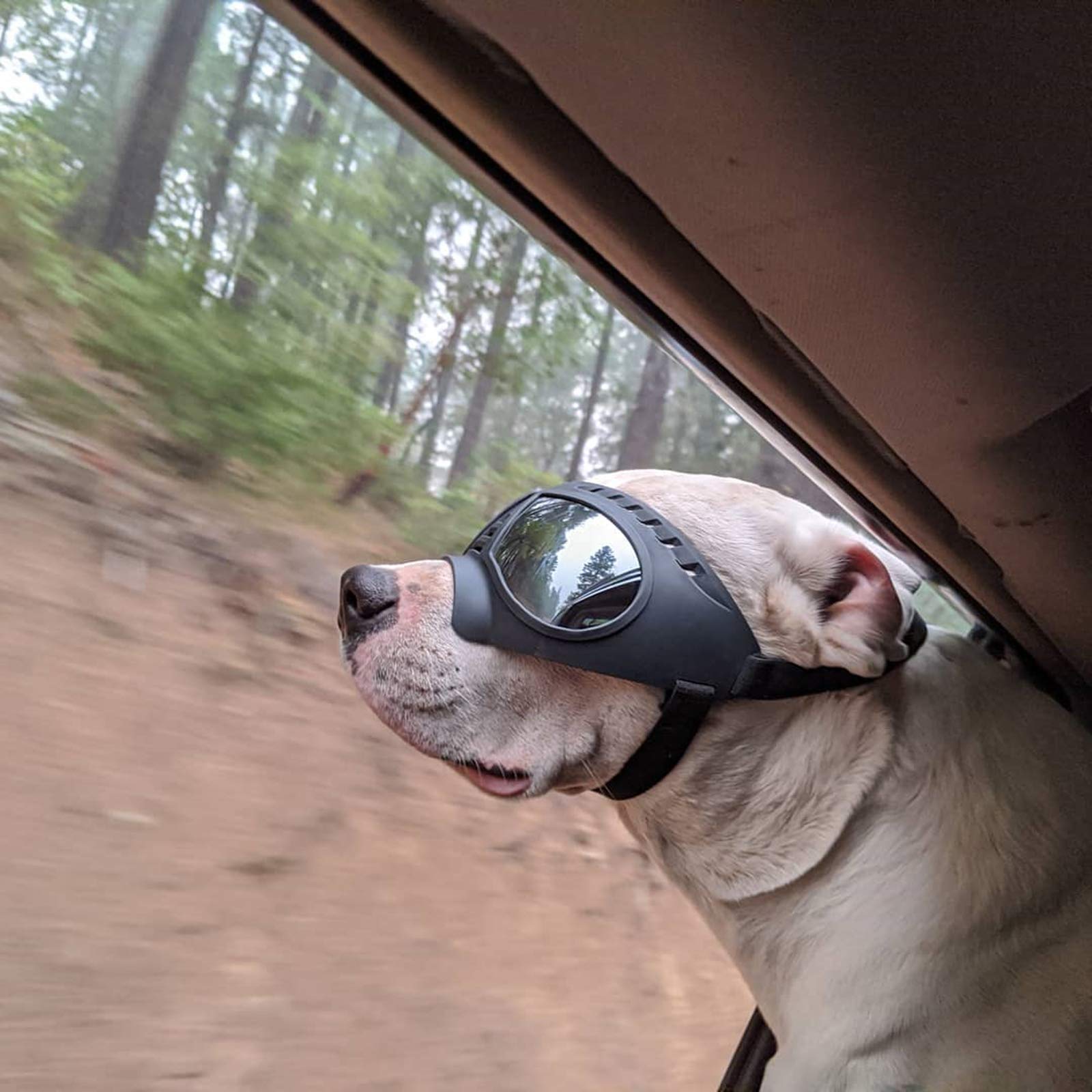 NAMSAN dog goggles durable soft frame withstands outdoor activity