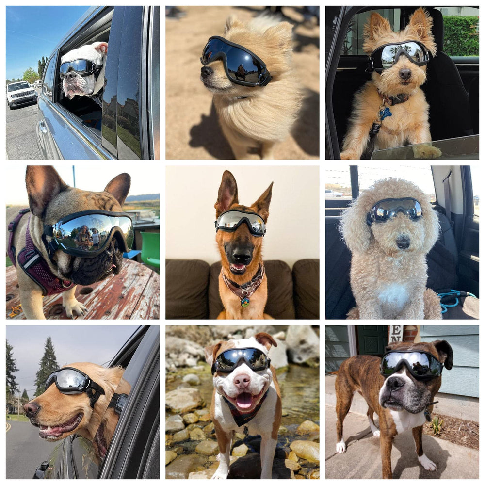 NAMSAN dog goggles windproof design for car rides with window down.
