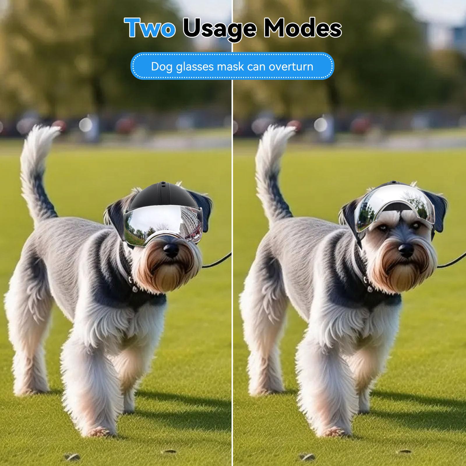 NAMSAN dog helmet with adjustable strap ensures snug fit on various breeds.
