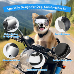 NAMSAN dog helmet ear-hole feature enables natural ears movement during walks.