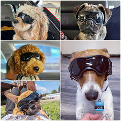 NAMSAN dog goggles frame vents ensure anti-fog visibility