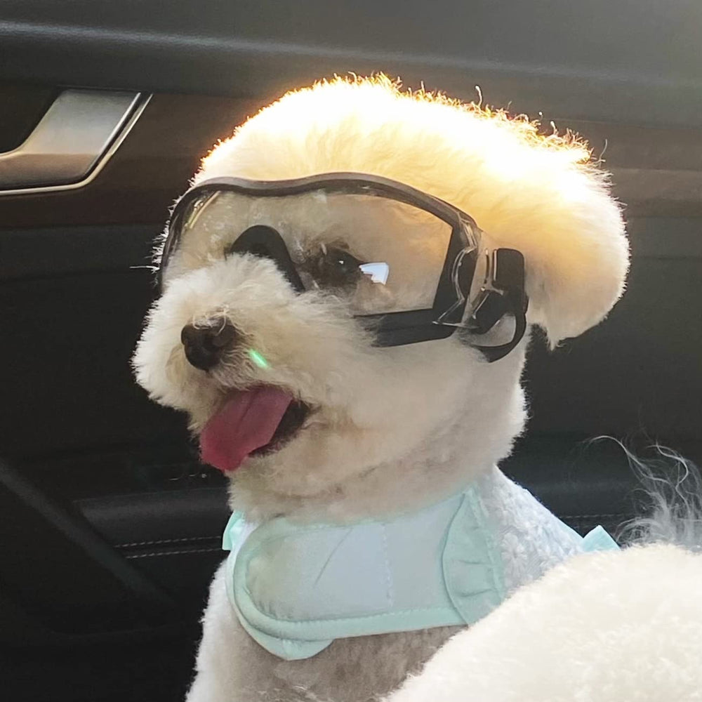 NAMSAN dog sunglasses outdoor-use scenario with a hiking dog