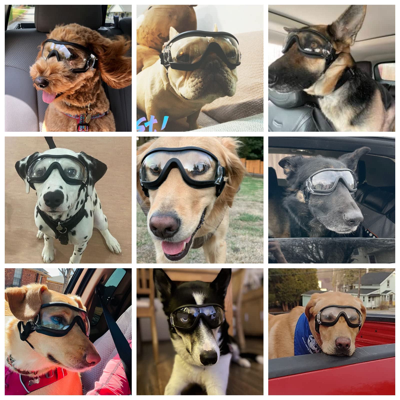 NAMSAN dog sunglasses side profile with secure, windproof design