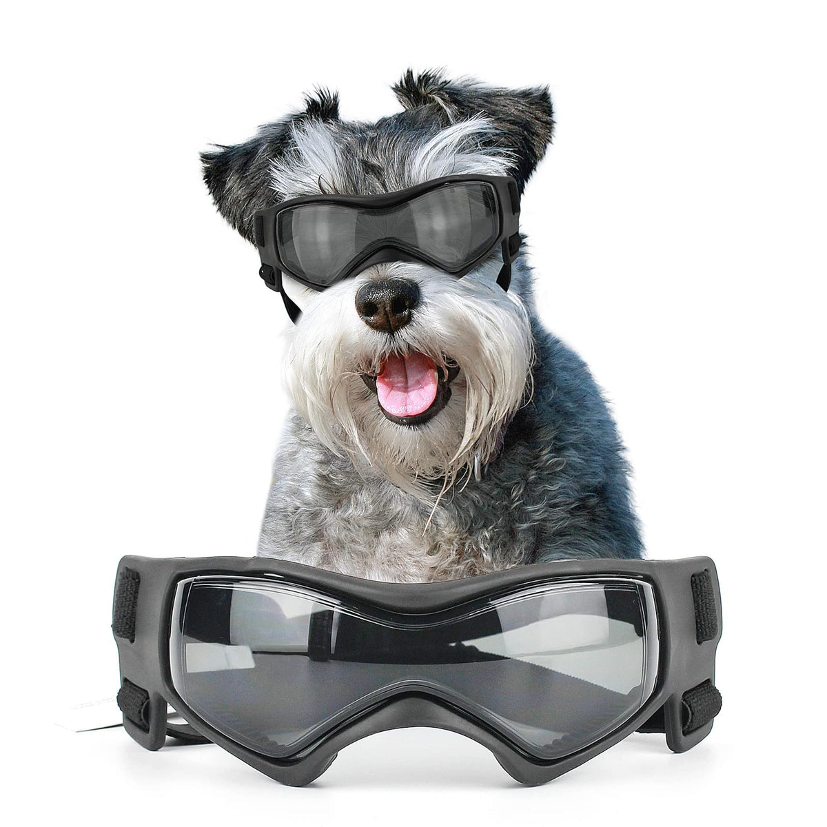 NAMSAN dog sunglasses UV-protective lenses for outdoor adventures