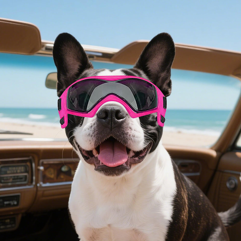 NAMSAN dog sunglasses UV protection lens reduces glare for outdoor use