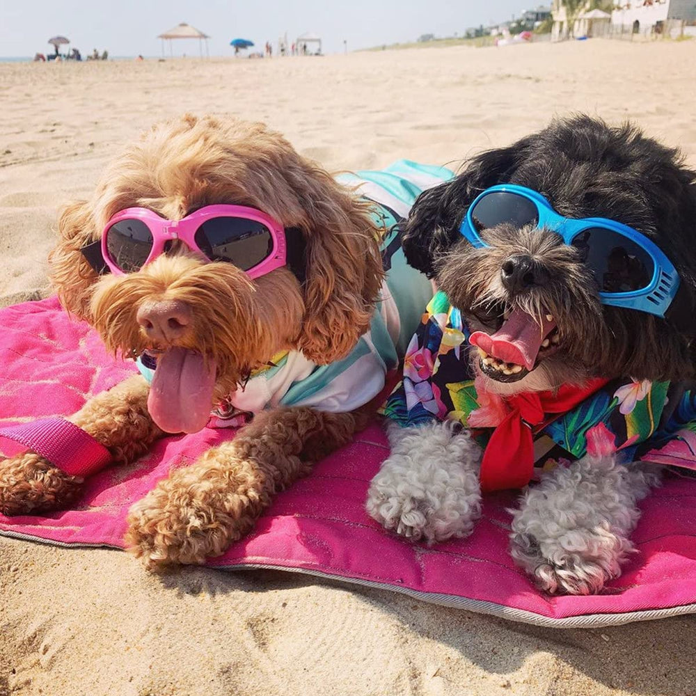 NAMSAN dog sunglasses wide-fit-frame prevents rubbing and slipping.