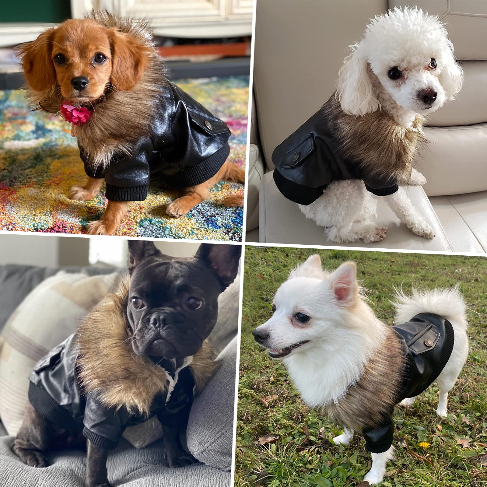 NAMSAN easy-on snaps design simplifies dressing your dog.