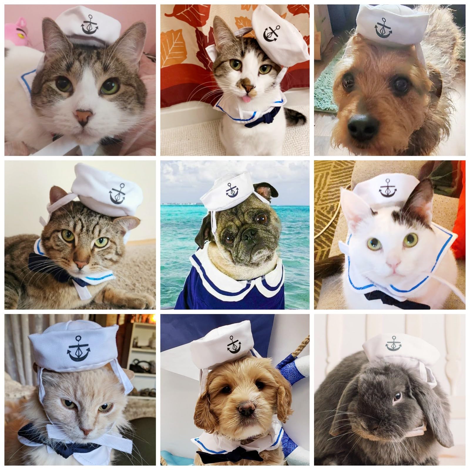 NAMSAN Sailor Costume ear slots help pets wear with ease