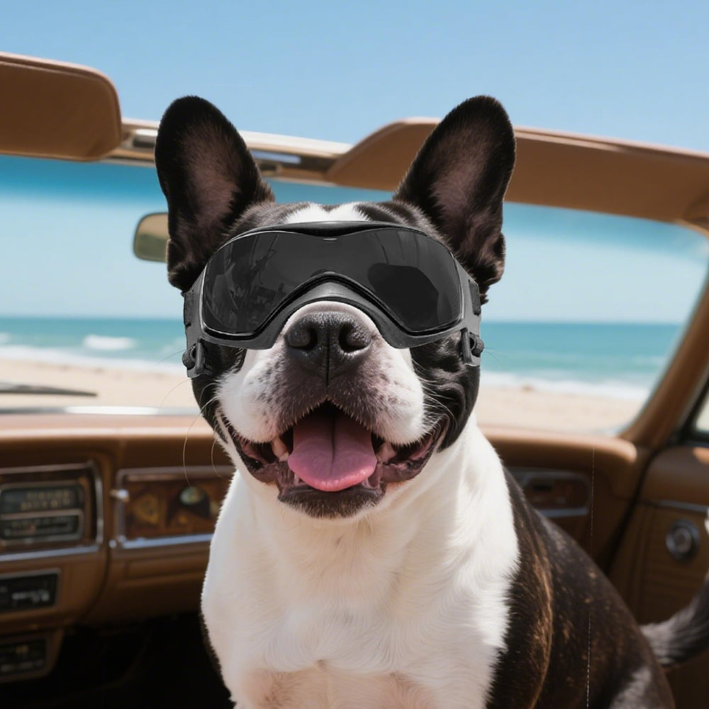 NAMSAN wraparound fit for secure dog head wear