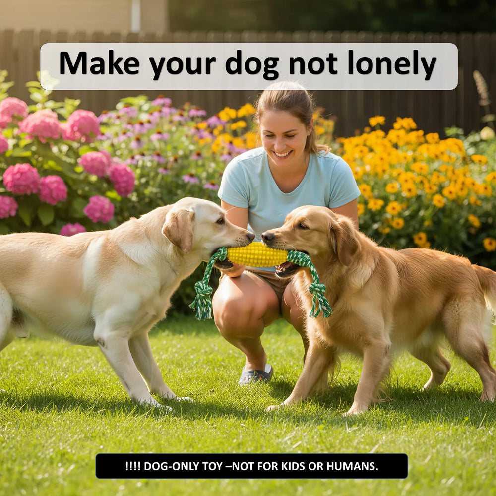 Nana Petit puppy teething stage use with textured corn surface.