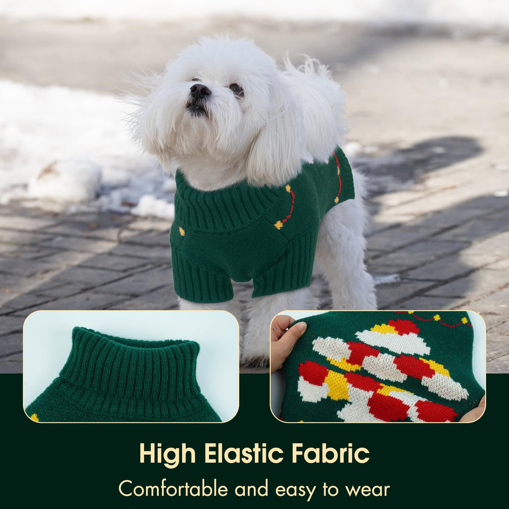 Nanaki dachshund sweater in festive setup ideal for photos