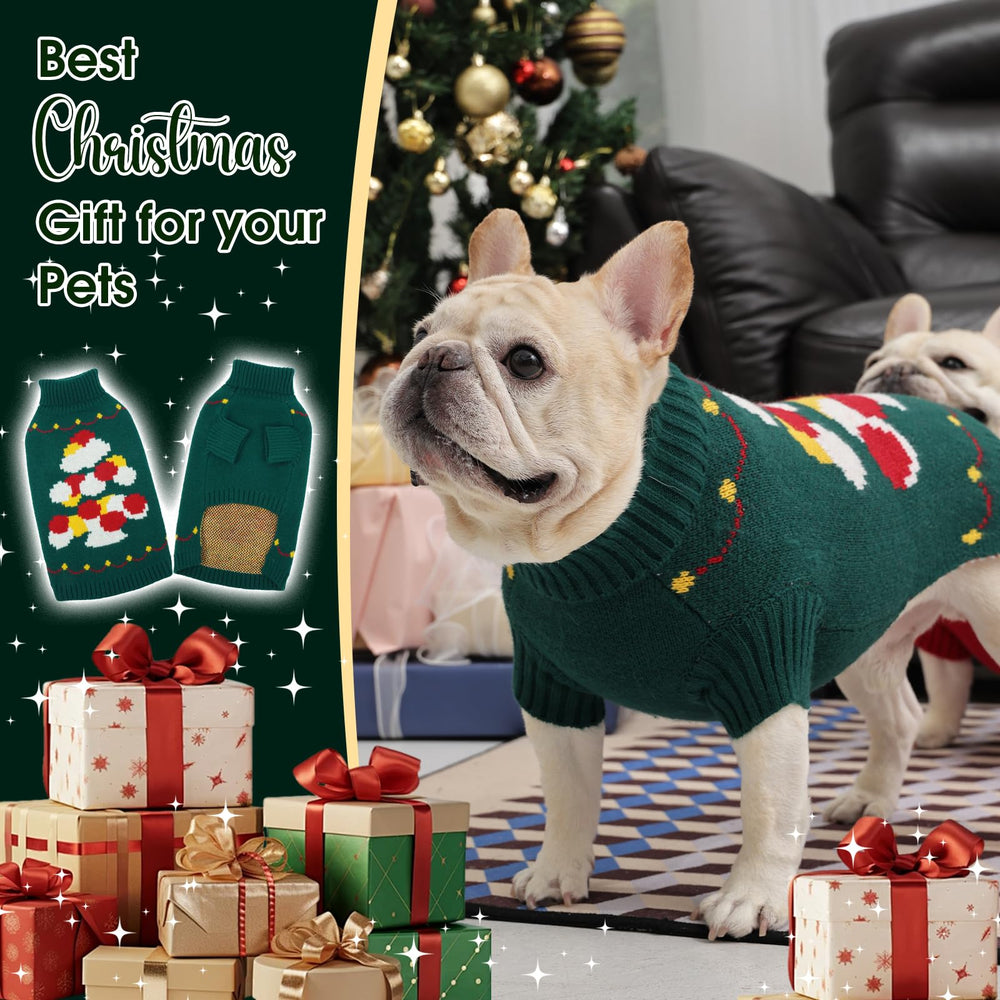 Nanaki dachshund sweater worn shows easy pullover and coziness