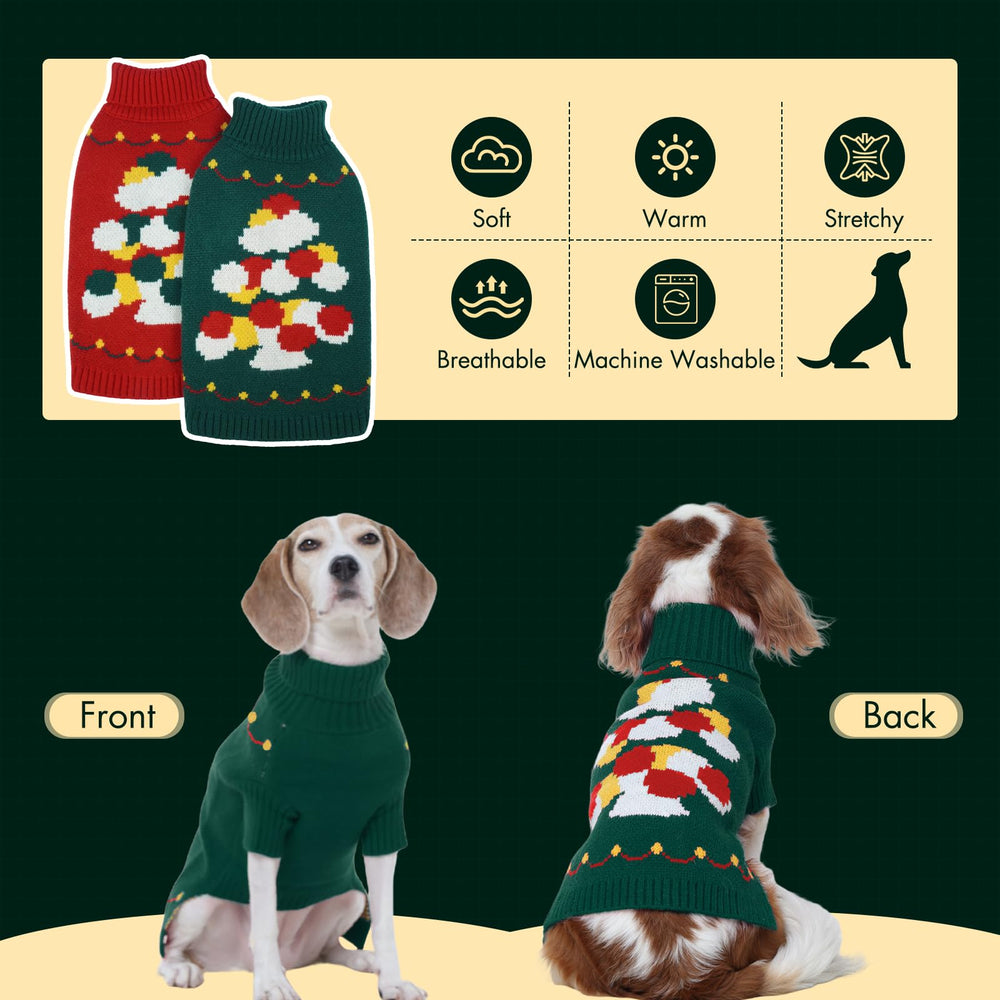 Nanaki dachshund sweater outdoor-walk ready for cold days