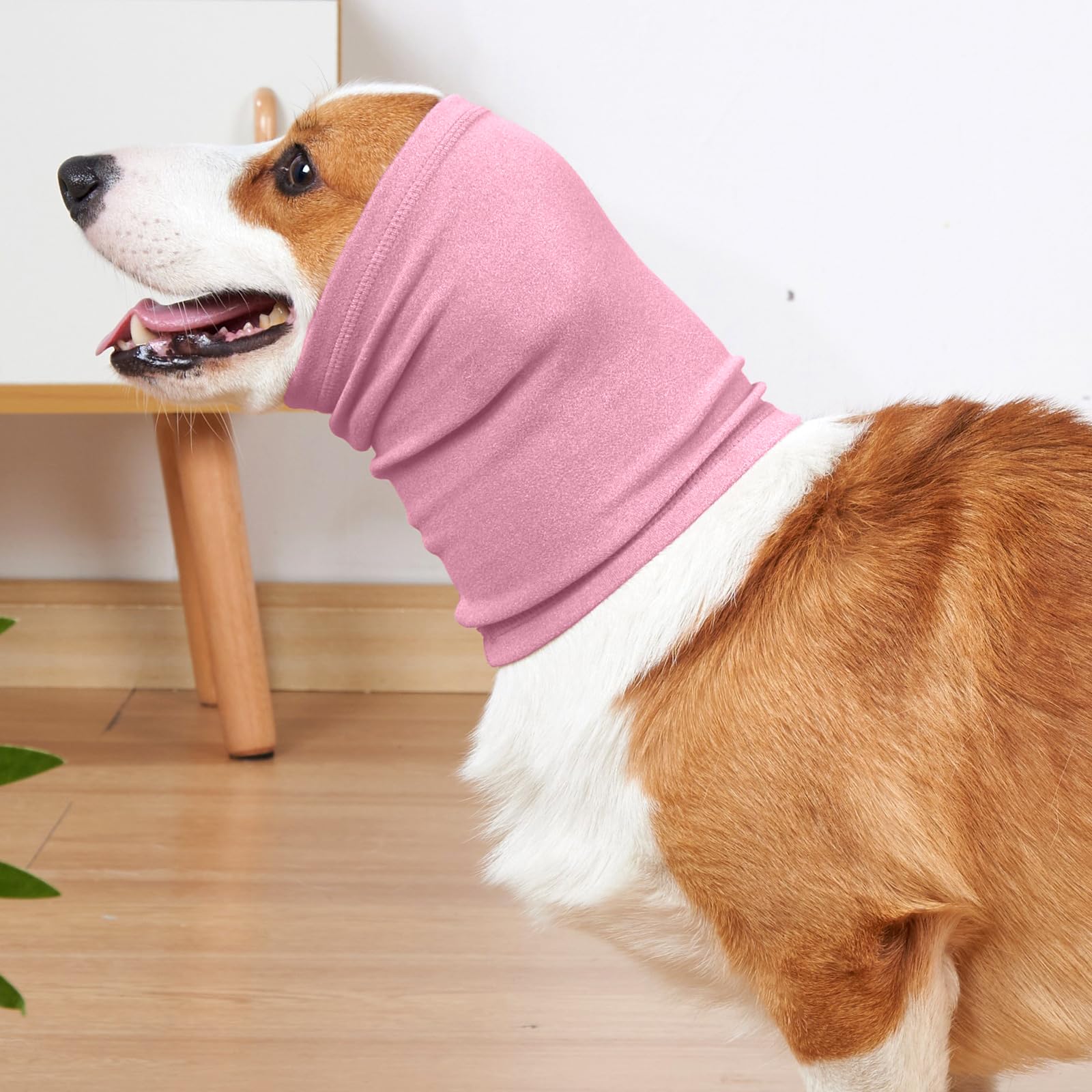 Nanaki dog calming hoodie ear wraps on a dog during everyday wear