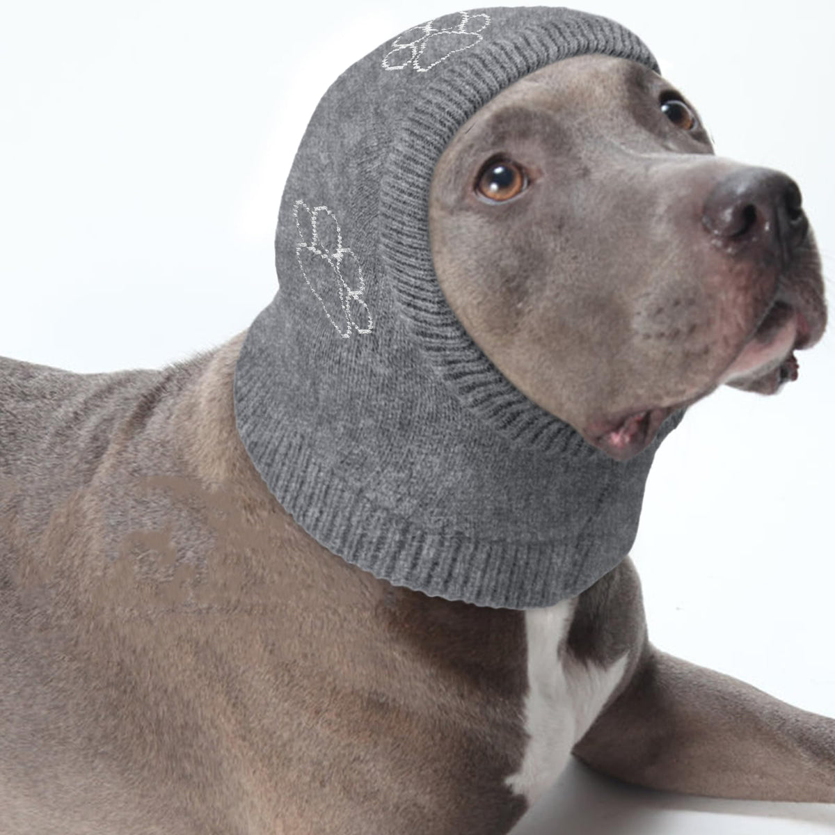 Nanaki dog calming hoodie ear wrap on a brown dog, offering snug quiet relief during outings.