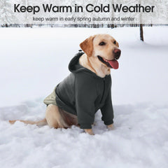 Nanaki dog hoodie grey XS hood and neck adjustment close-up for secure fit