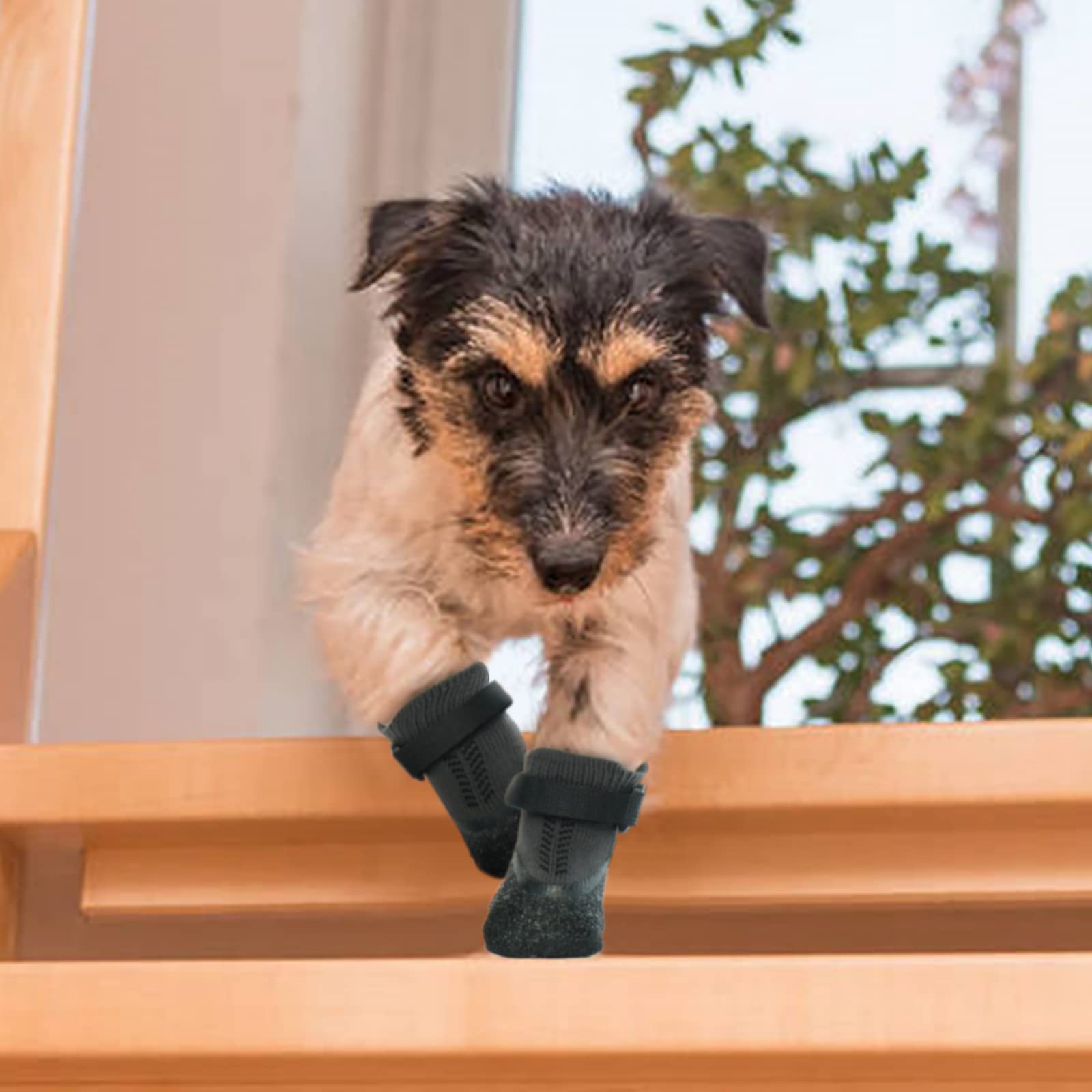Nanaki paw protection socks to guard paws after minor irritation or activity.