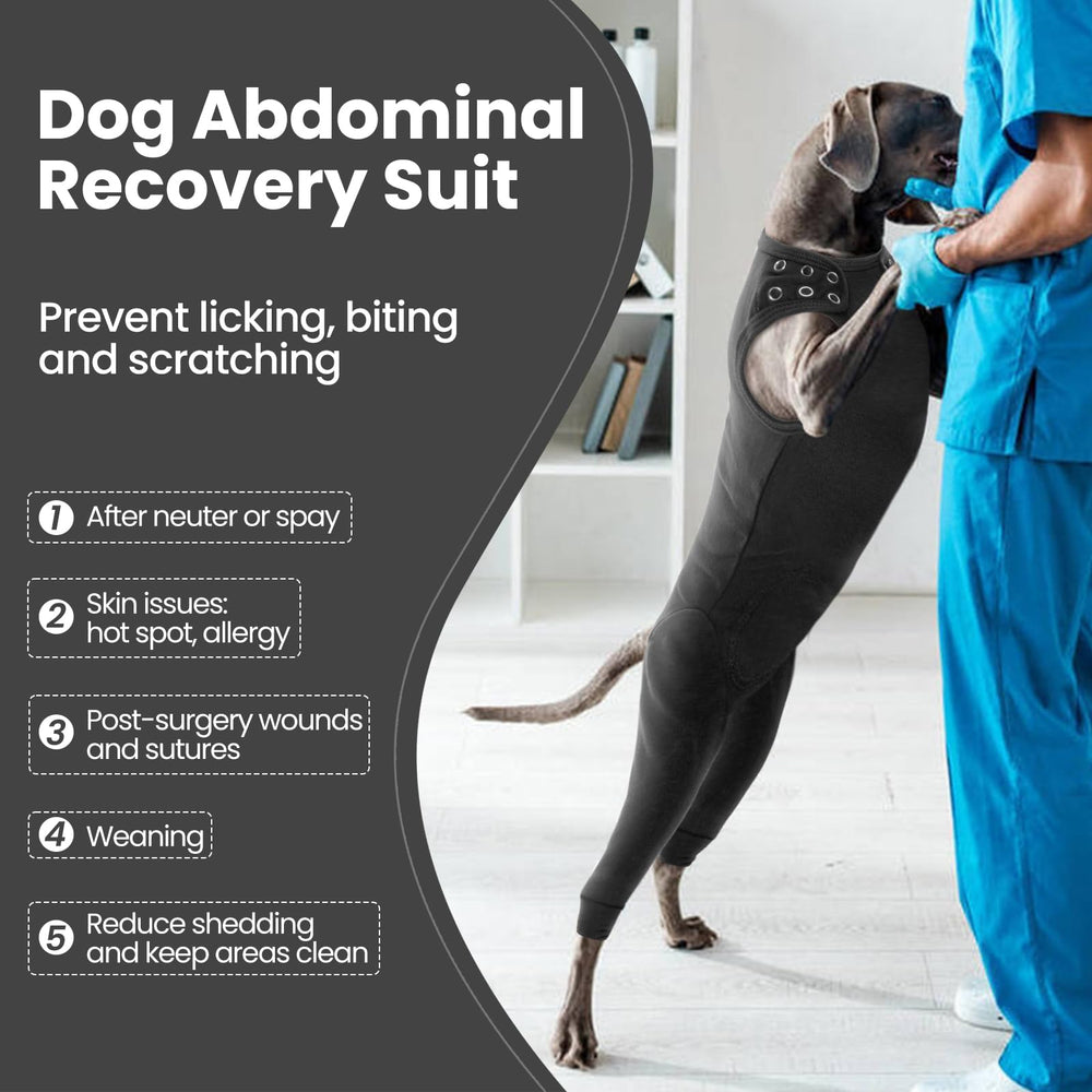 Nanaki dog wound care shirt rear view protects stitches and reduces licking during healing