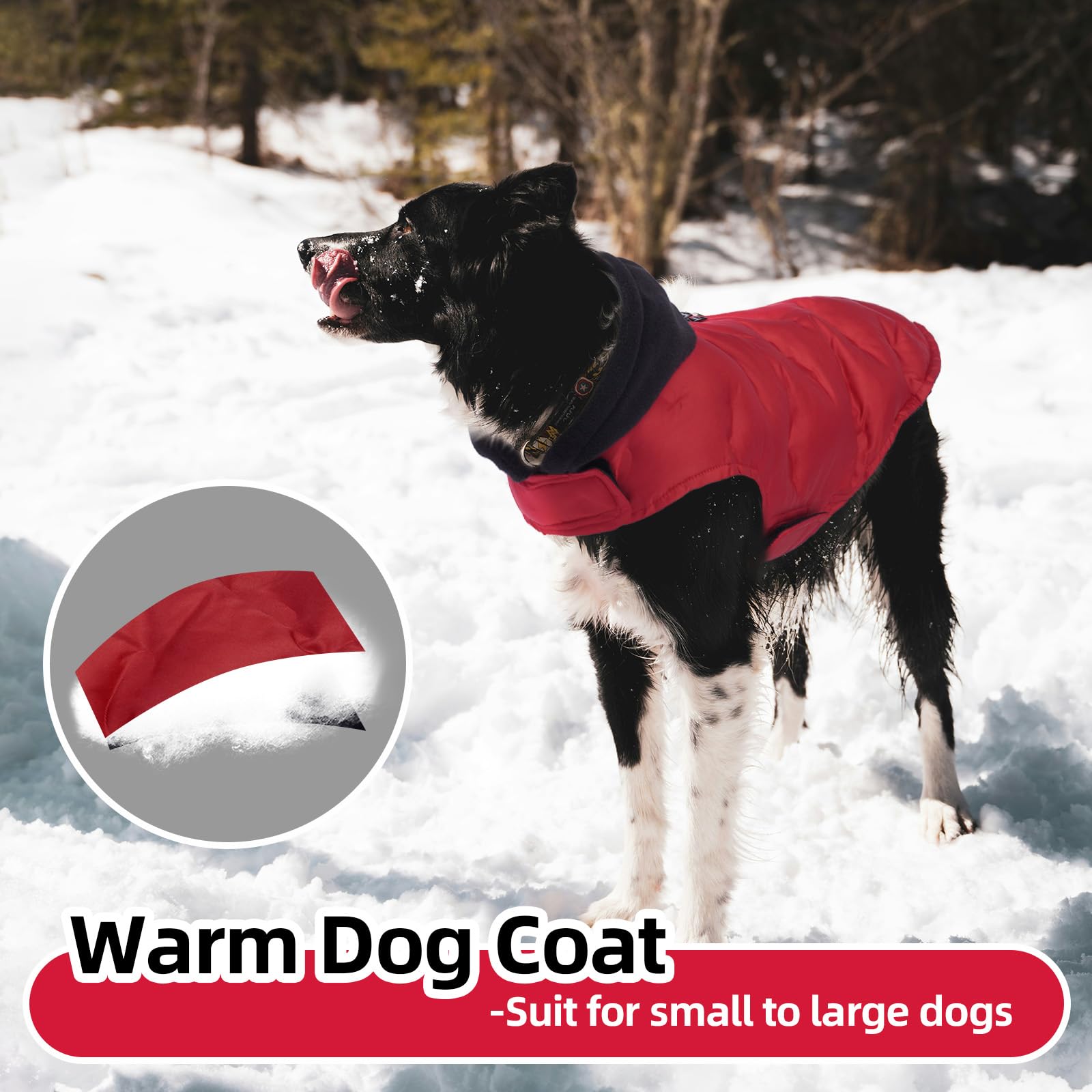 Nanaki Easy On XL red side-view highlights bold visibility for larger breeds.