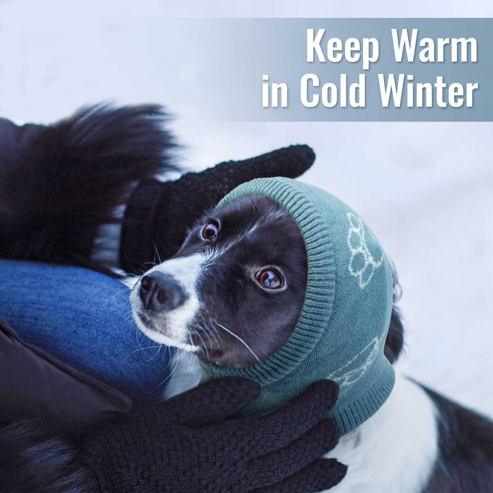 Nanaki Gorro para Perro perfecto para paseos de invierno y lluvia
