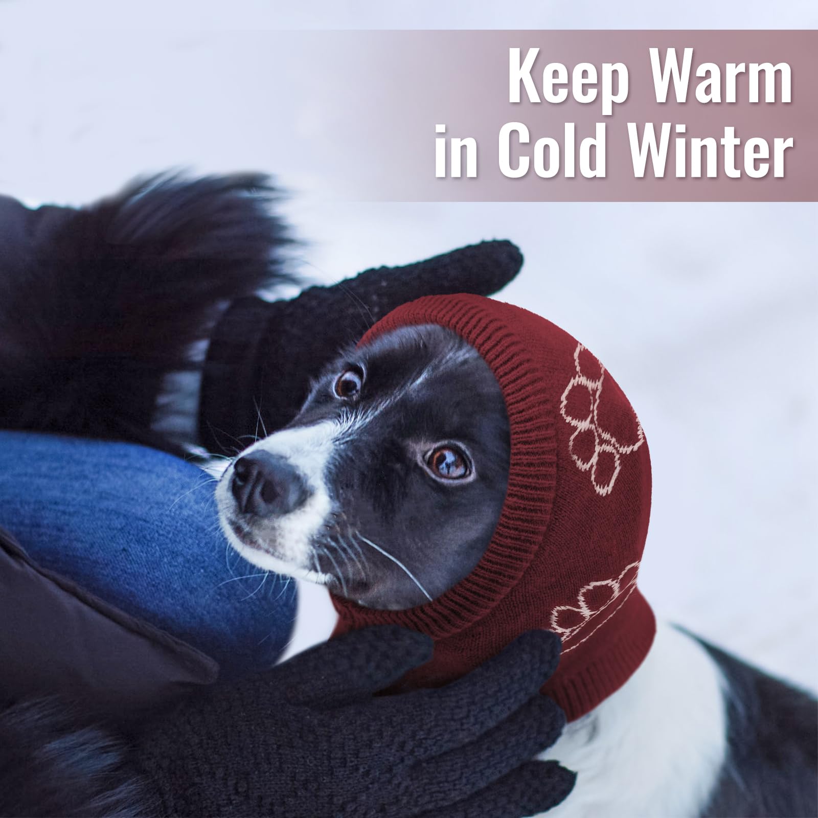 Nanaki uso diario en paseos y juegos para perro