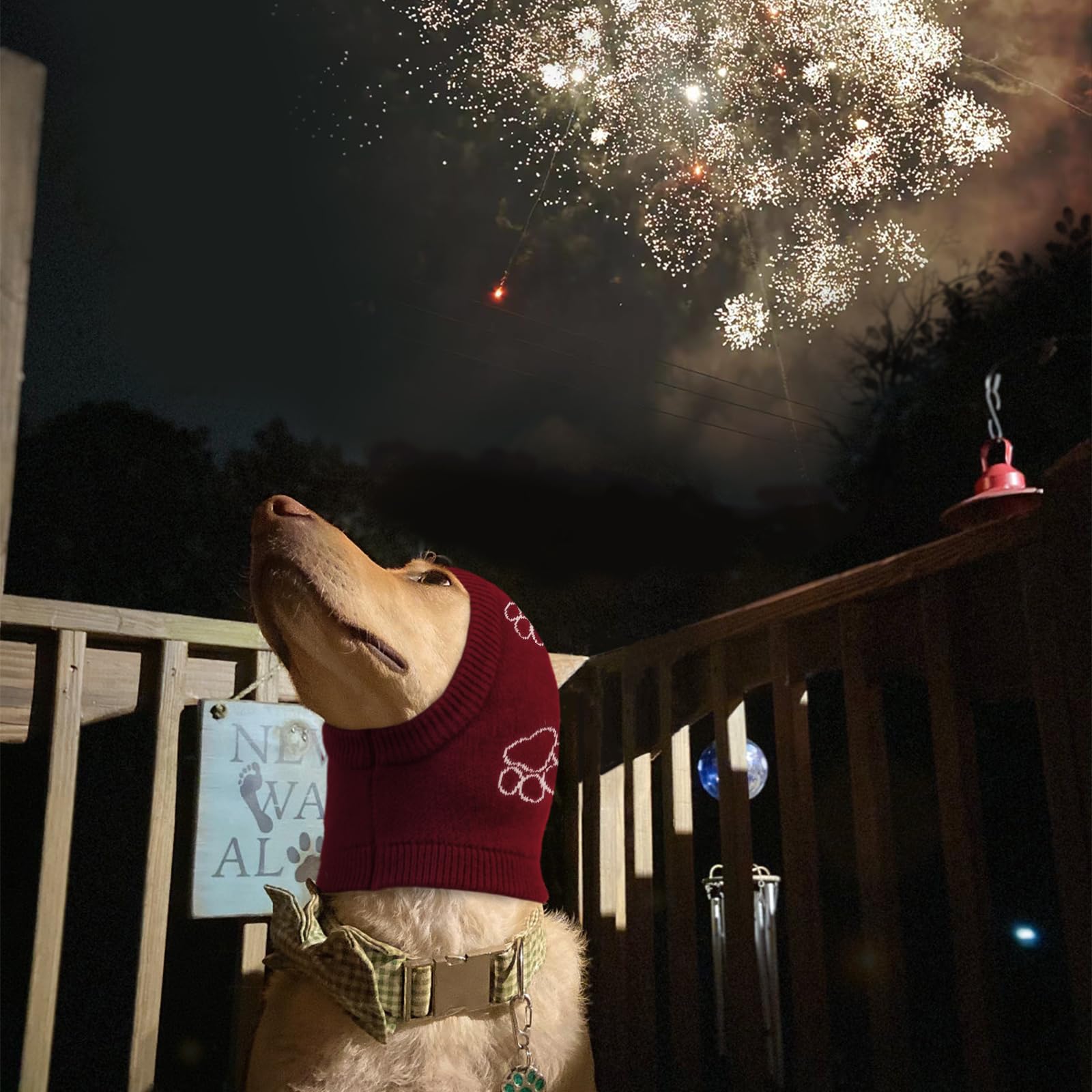 Nanaki uso estético y visitas veterinarias para perro