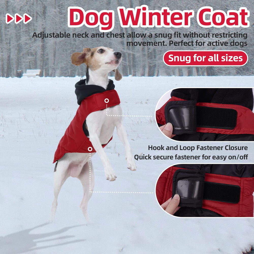 Nanaki windproof hood detail shields dog from chilly winds