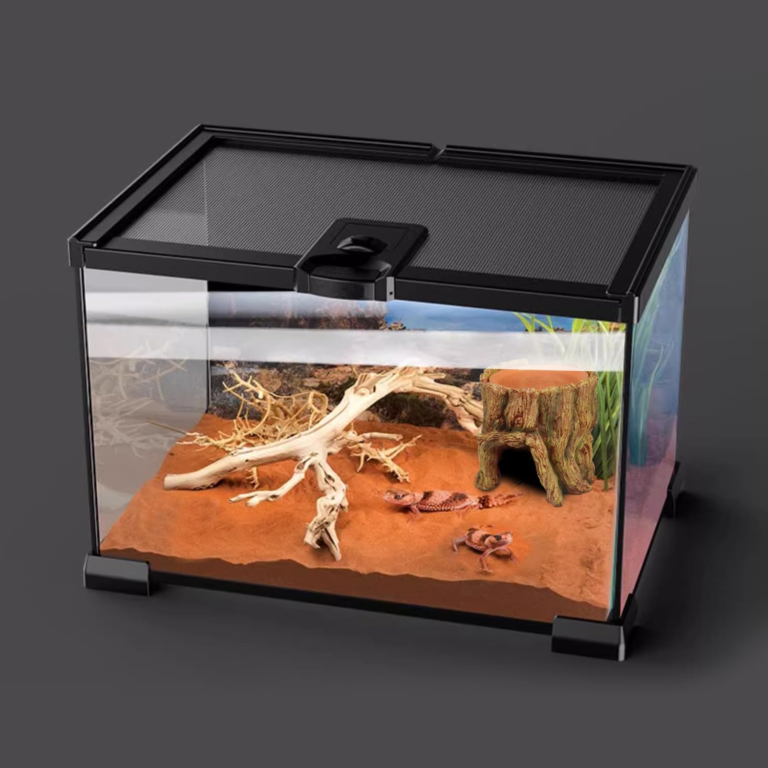 NANEEZOO Reptile Hide Cave habitat-setup promotes healthy enrichment