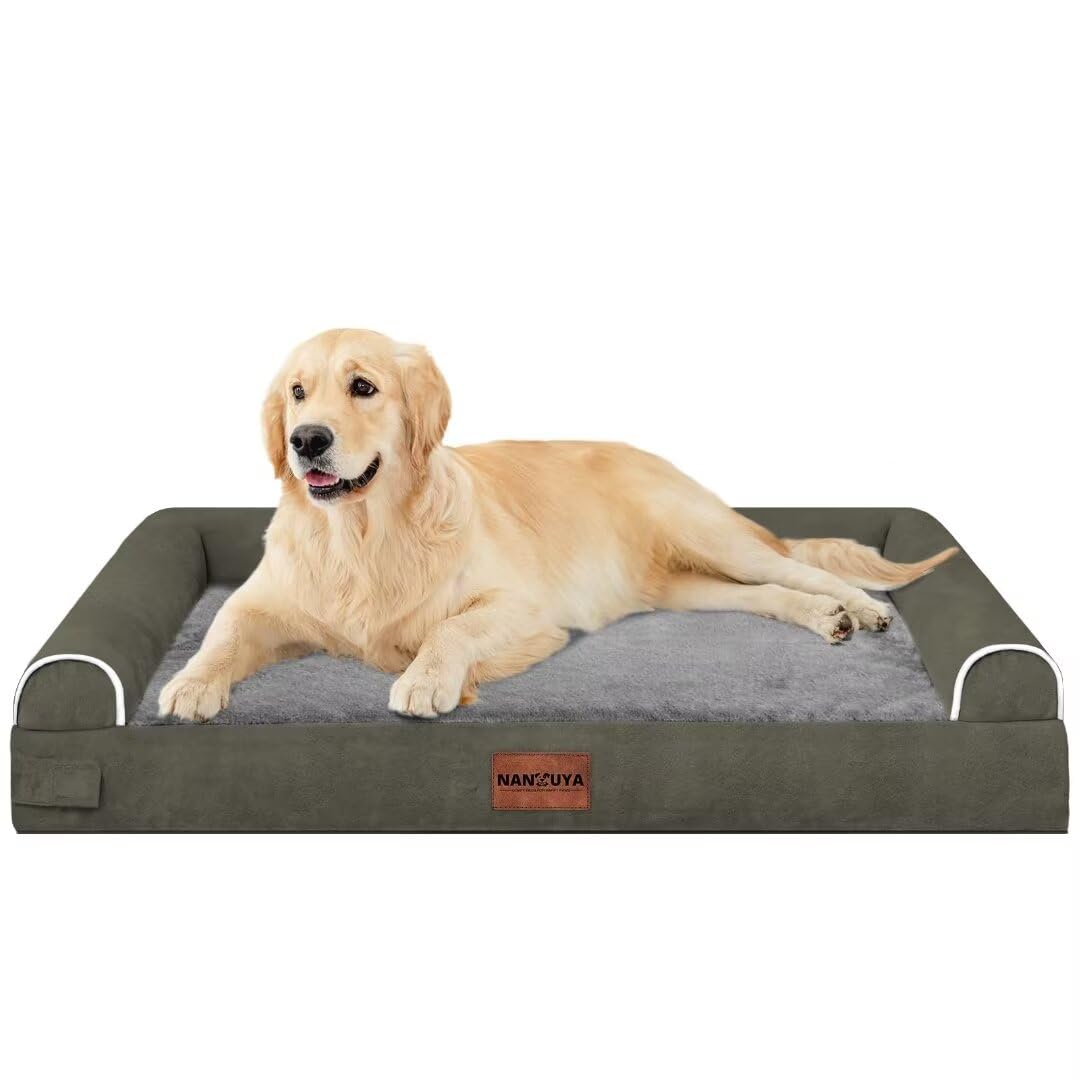 NANUYA dog relaxing on the couch-style bed