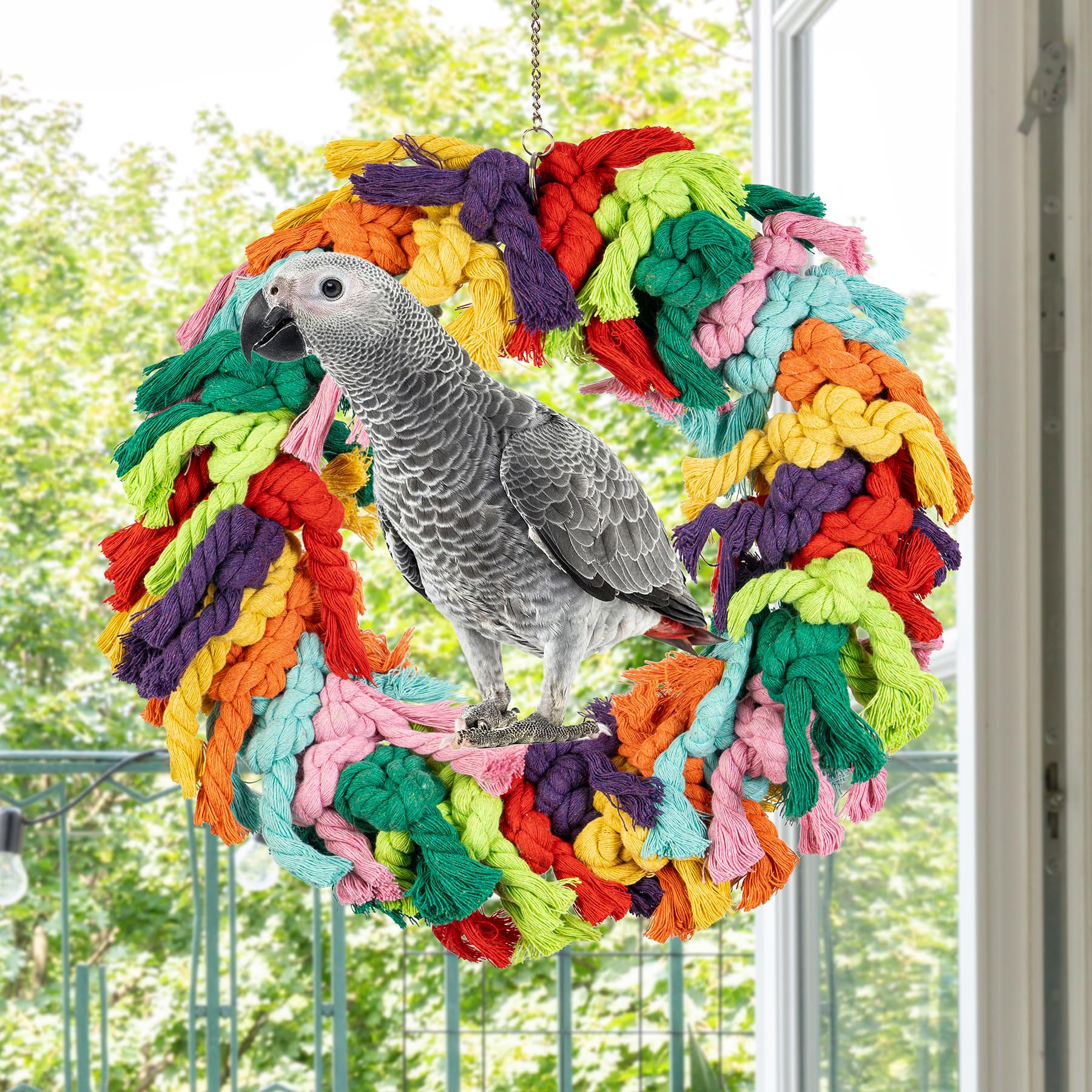 Napiass Parrot Swing on African Grey setup supports exercise and preening behaviors.