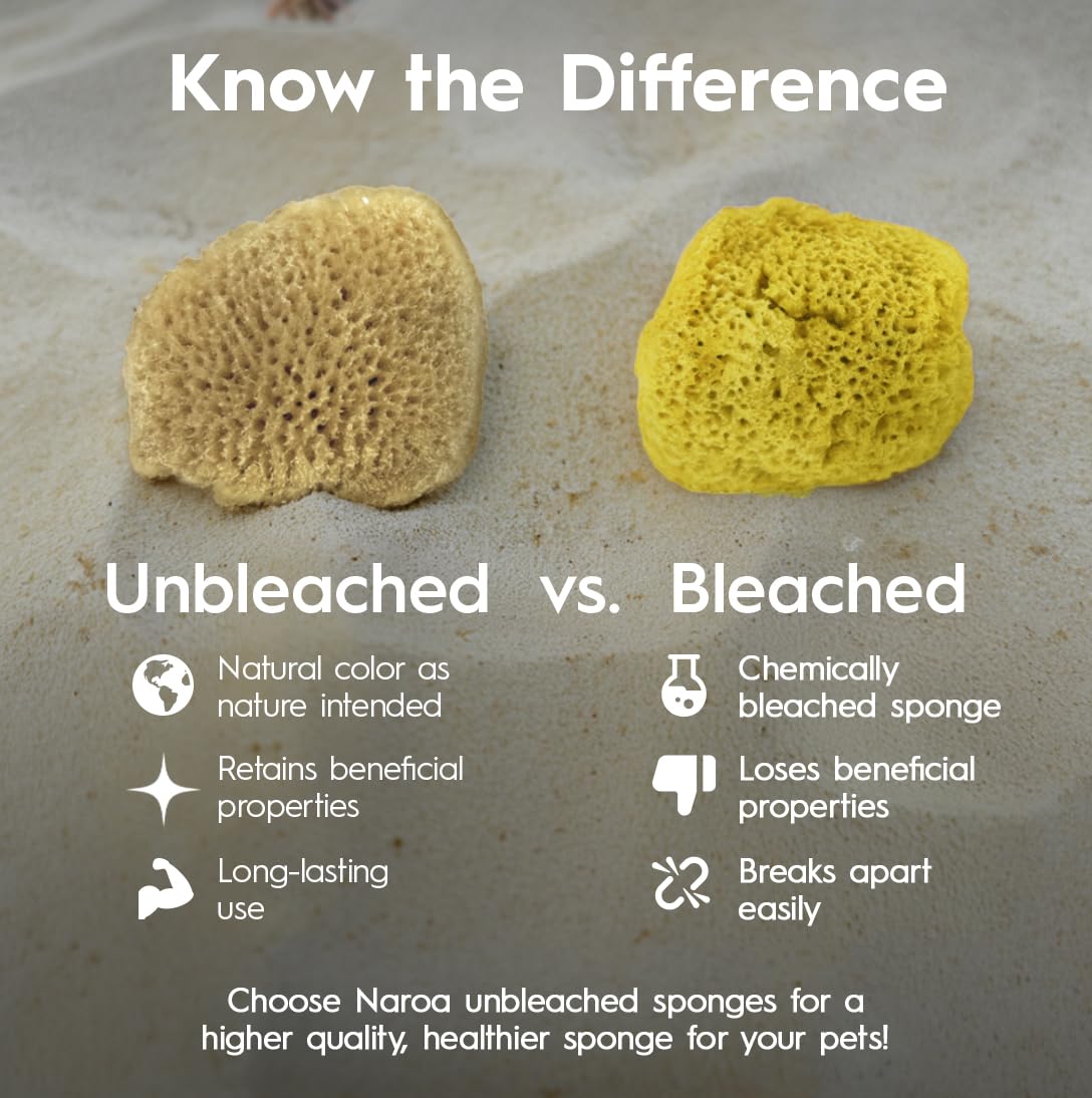 Naroa sponge absorbency tank humidity demonstrates high-absorbency fibers