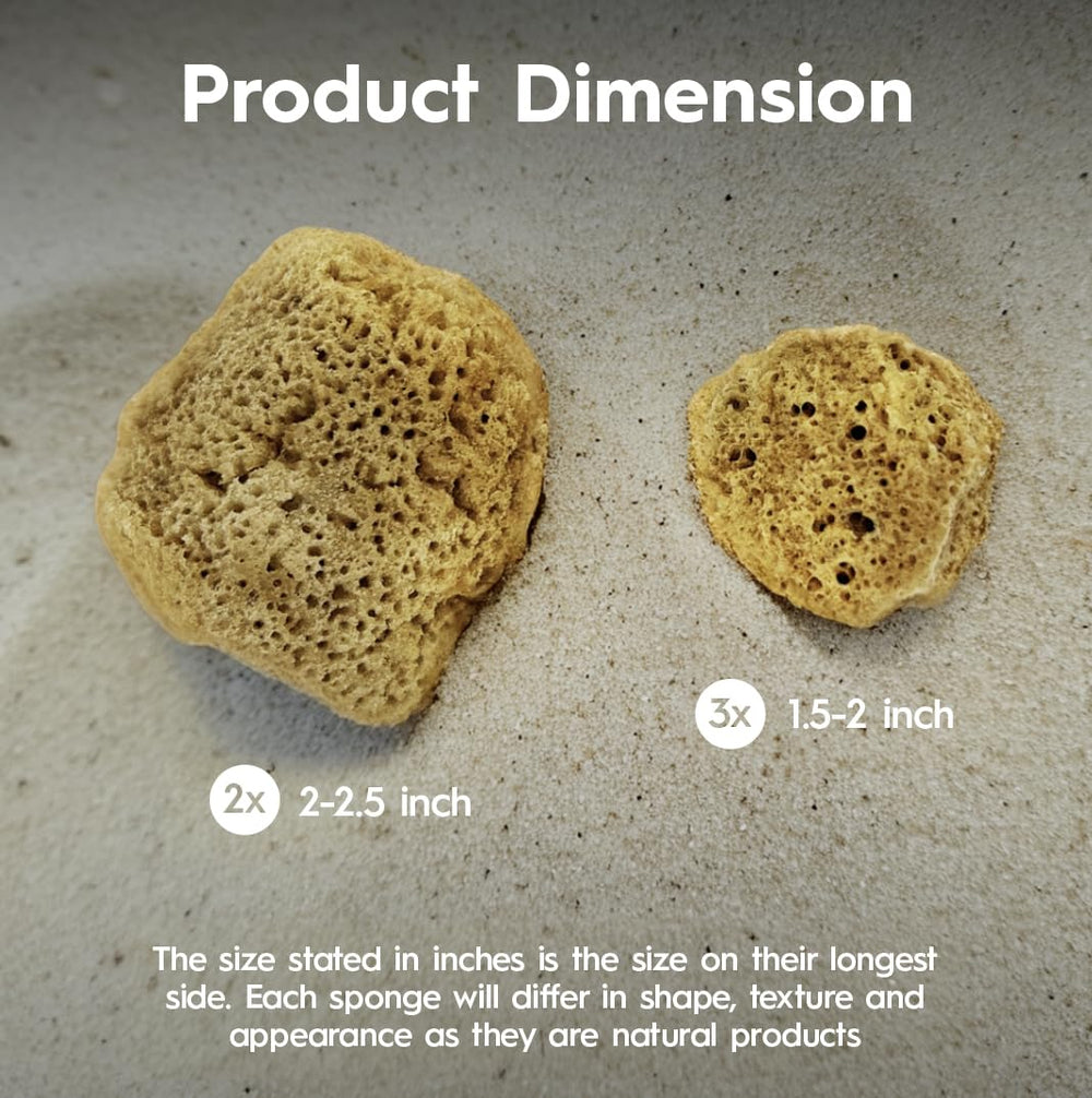 Naroa natural brown sponges highlighting unbleached materials