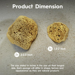 Naroa natural brown sponges highlighting unbleached materials