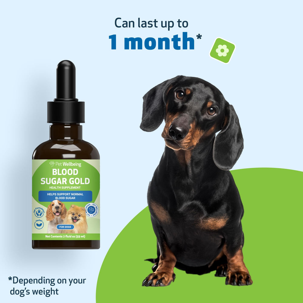 NASC Quality Seal badge—assuring canine health support.