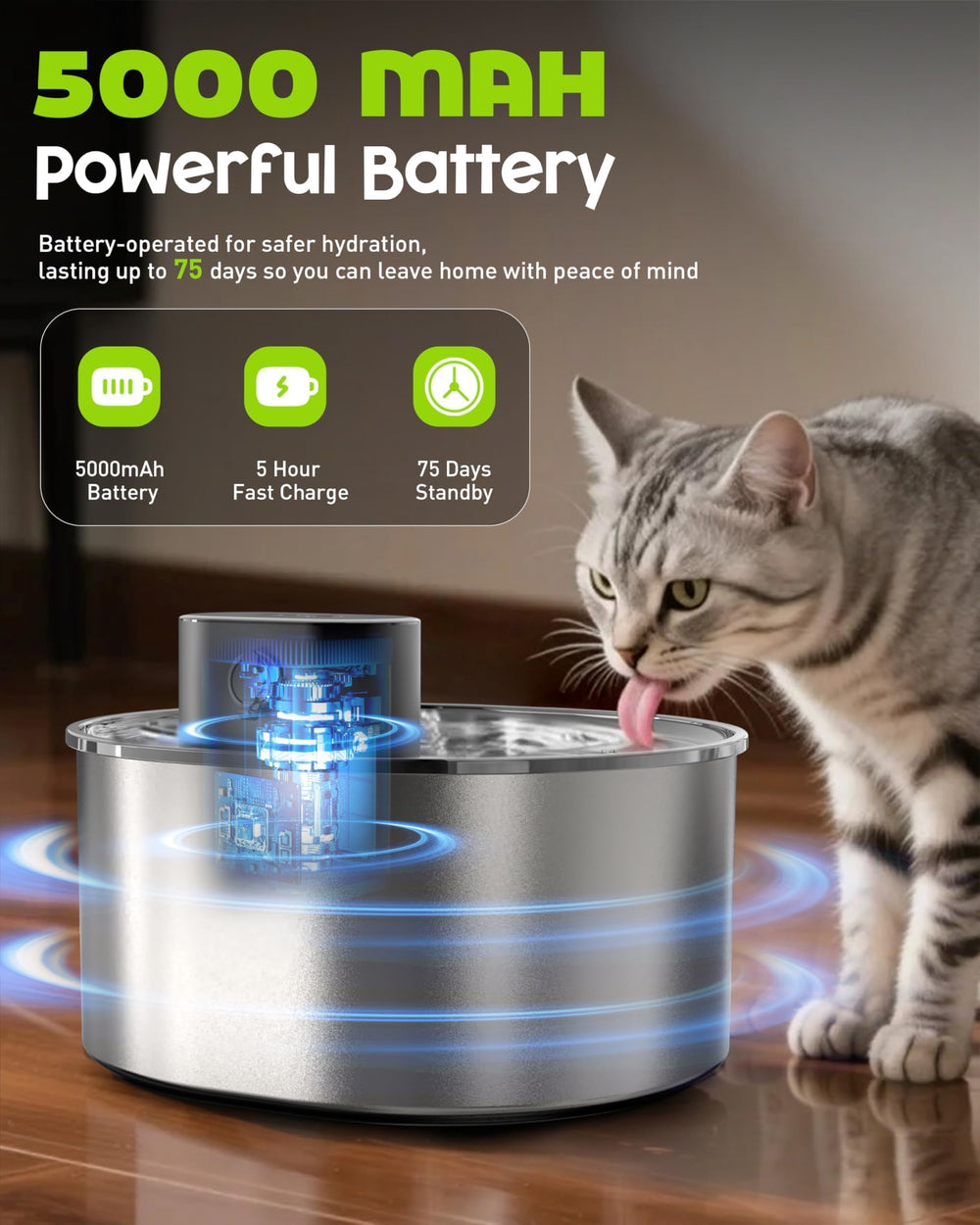 Nasebila packaging image reveals included filters and setup components.