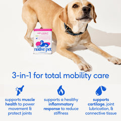Native Pet Advanced Care powder being mixed with dog food for joints.