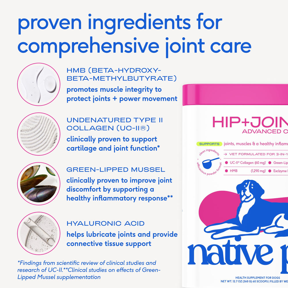 Native Pet Green Lipped Mussel in formula supporting comfort balance.
