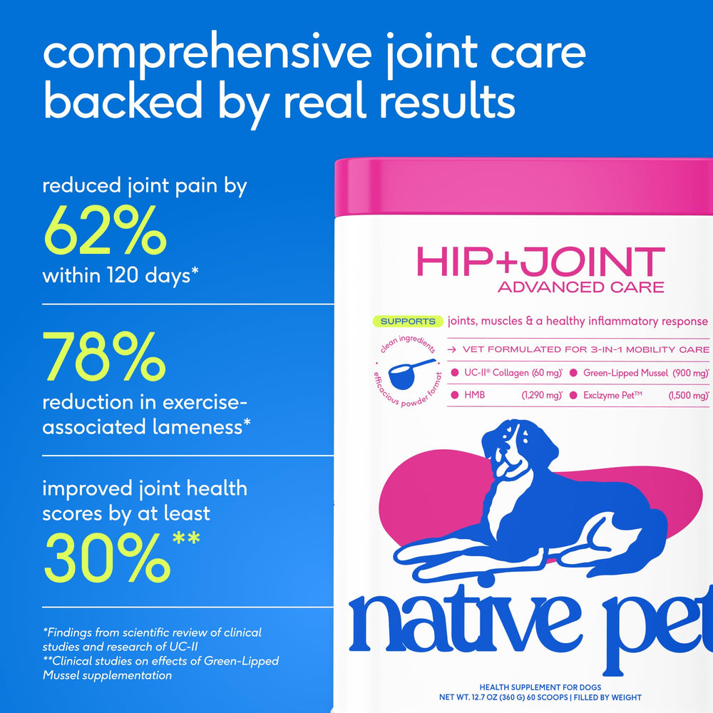 Native Pet measuring scoop demonstrates simple daily dosing for canine mobility.