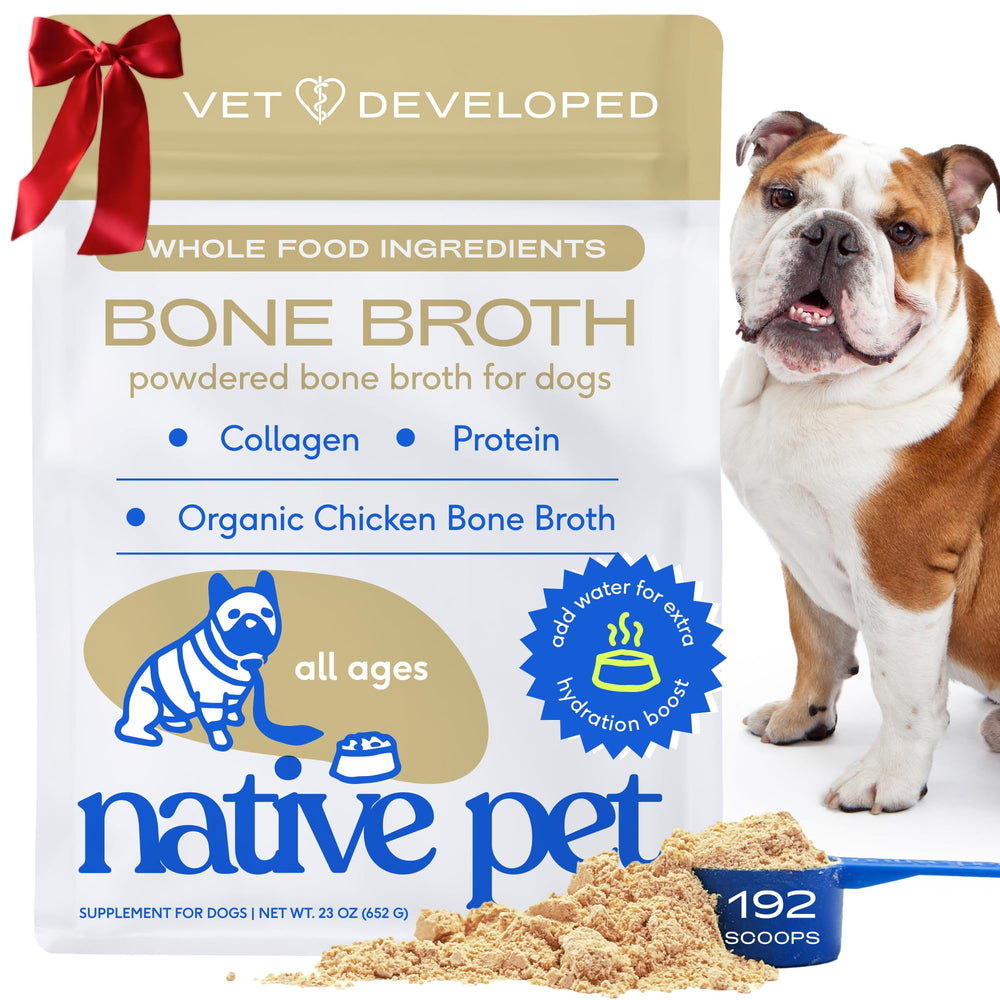 Native Pet bone broth powder in bottle highlights organic chicken ingredients for pet hydration.
