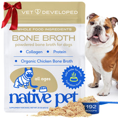 Native Pet bone broth powder in bottle highlights organic chicken ingredients for pet hydration.