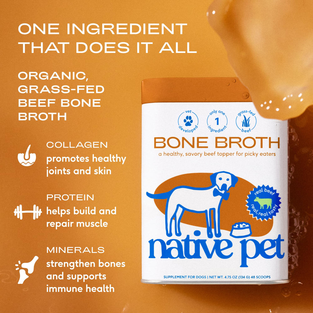 Native Pet bone broth in a dog bowl improves hydration and palatability
