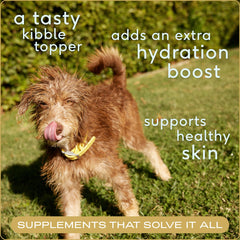 Native Pet bone broth pour-ready mix shows savory aroma for meal enhancement.