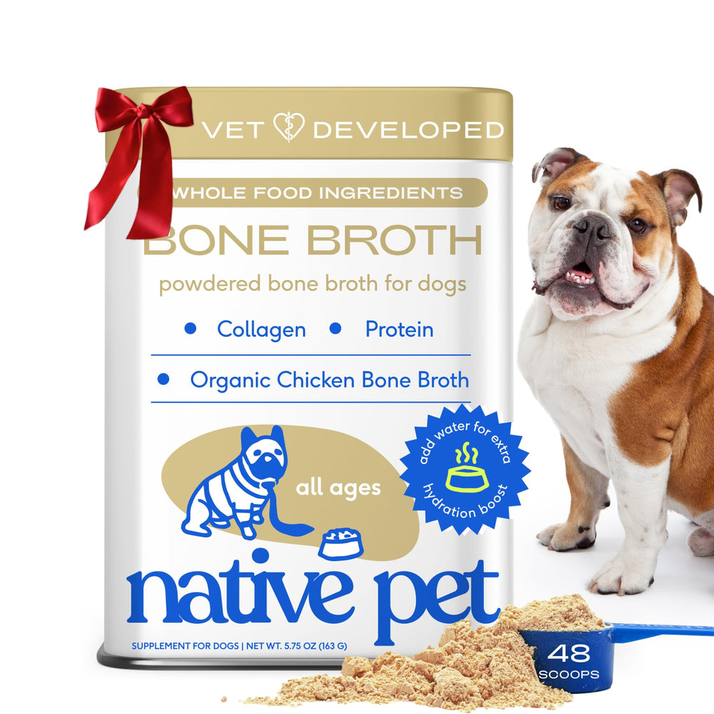 Native Pet bone broth powder packaging shows organic ingredients for pet hydration.