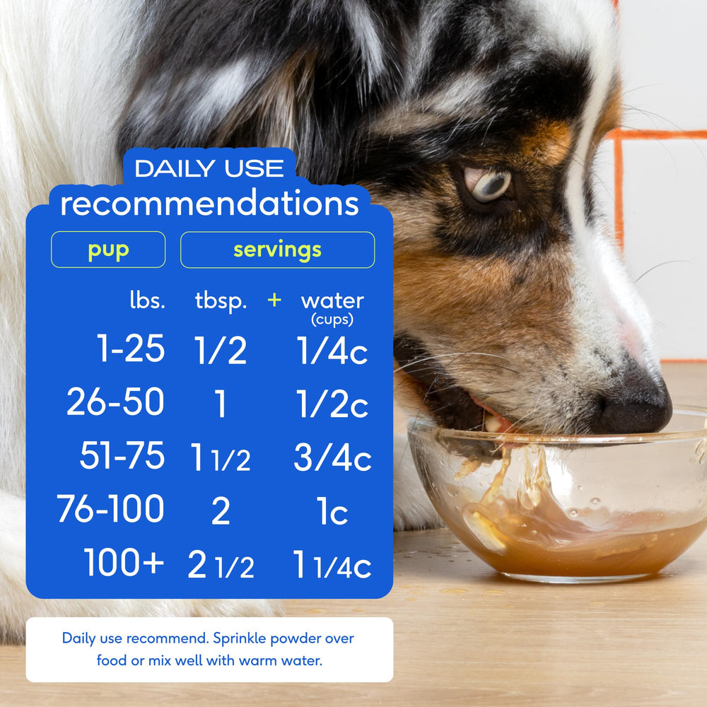 Native Pet bone broth scoop-dog-bowl ready serving highlights easy mixing with water.