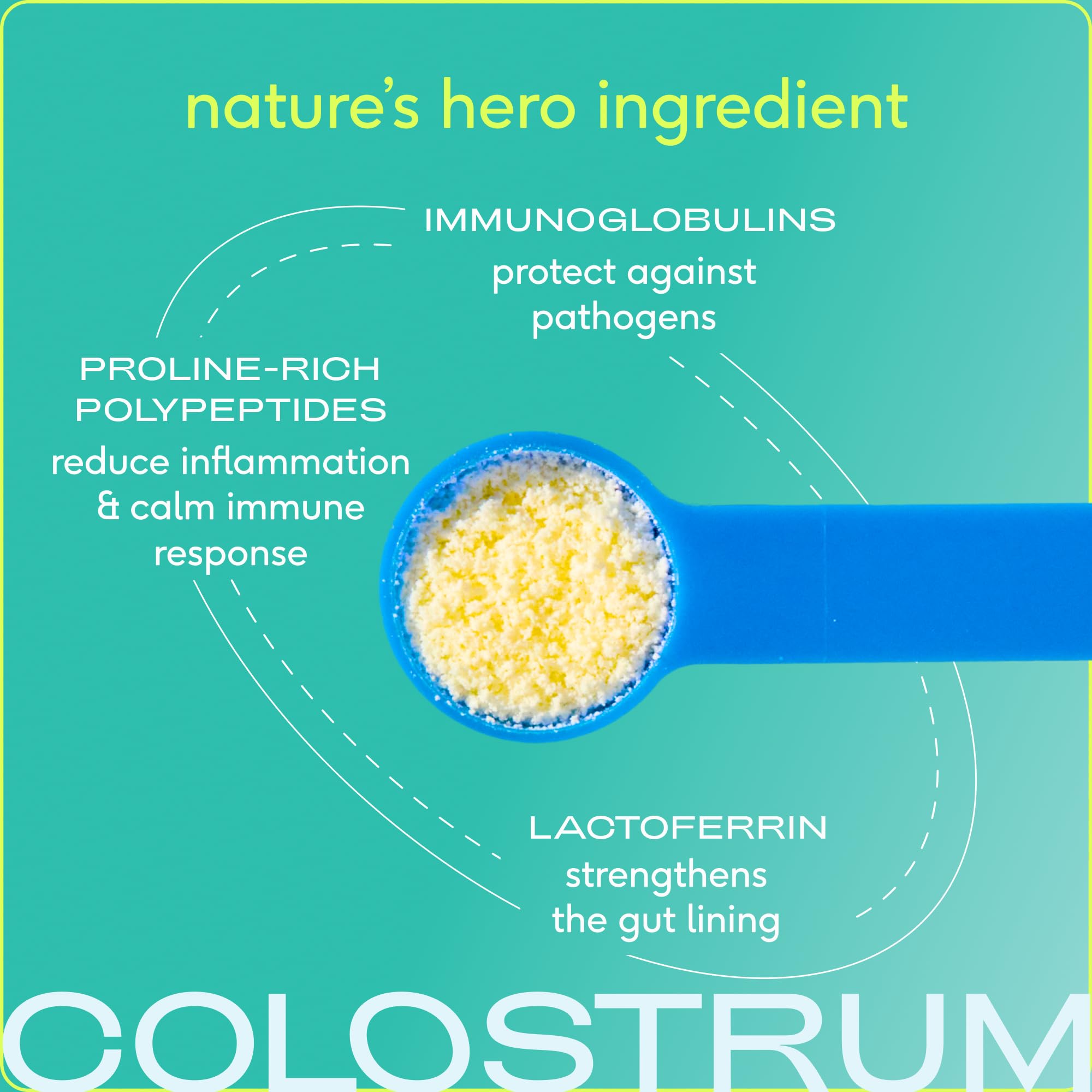 Native Pet Colostrum for Dogs bowl with powder promotes digestive wellness at mealtimes.