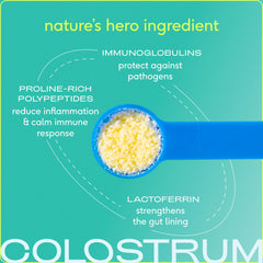Native Pet Colostrum for Dogs bowl with powder promotes digestive wellness at mealtimes.