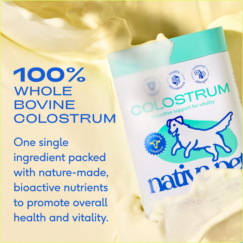 Native Pet Colostrum for Dogs closeup on shiny coat benefits.
