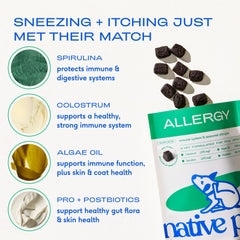 Native Pet Dog Allergy Chews with colostrum and probiotics for gut health and immunity.